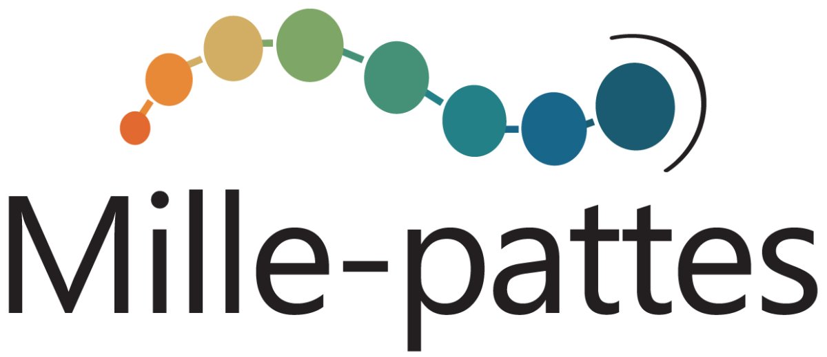 Mille-Pattes